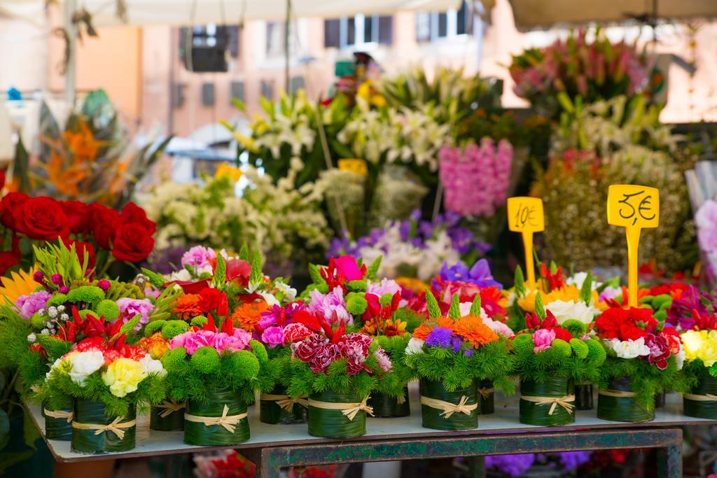 Campo De Fiori Apartment 로마 객실 사진